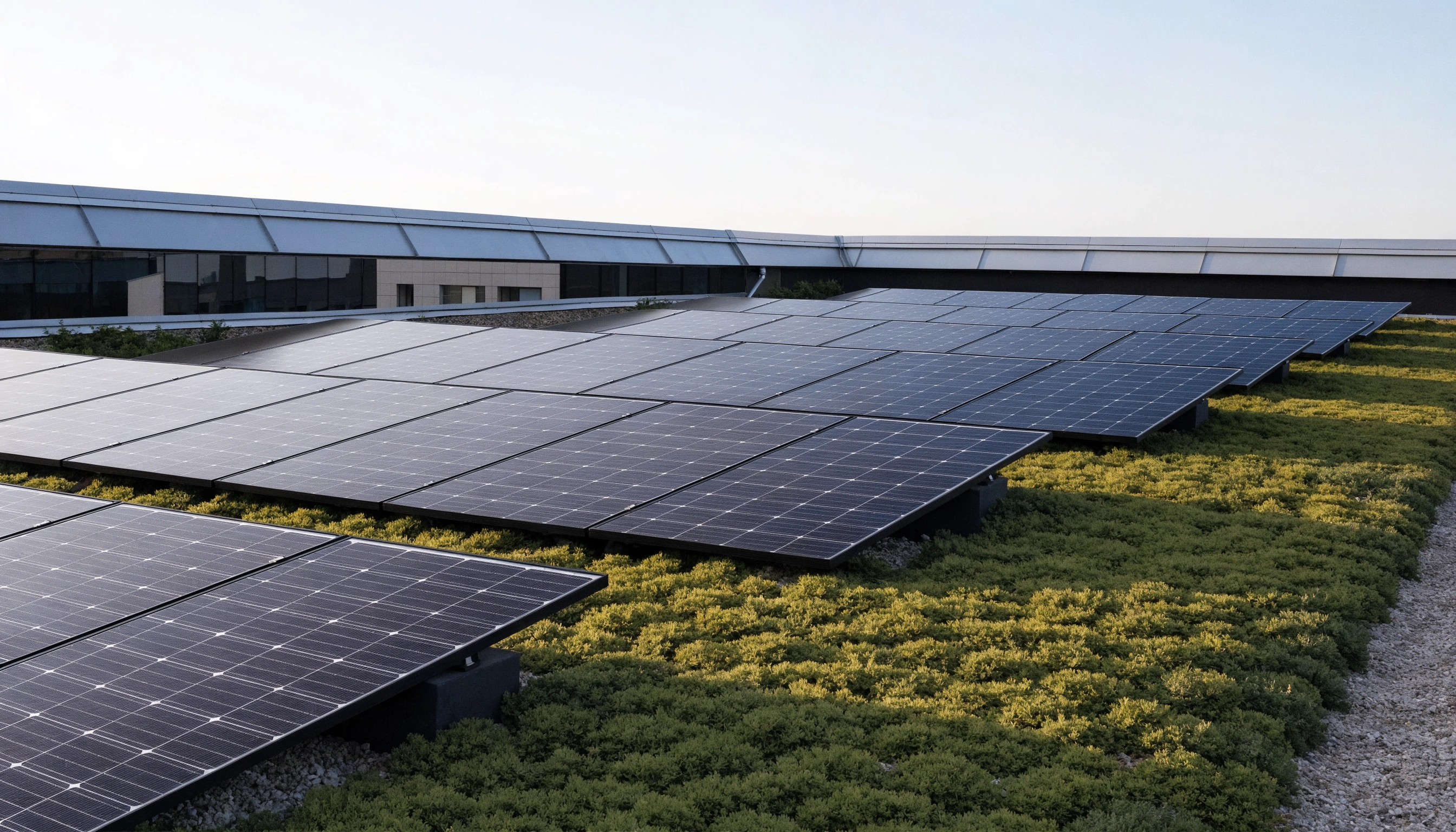 Sempergreen Biosolar hübriidsüsteem päikesepaneelide ja tiheda sedumkatusega Eestis