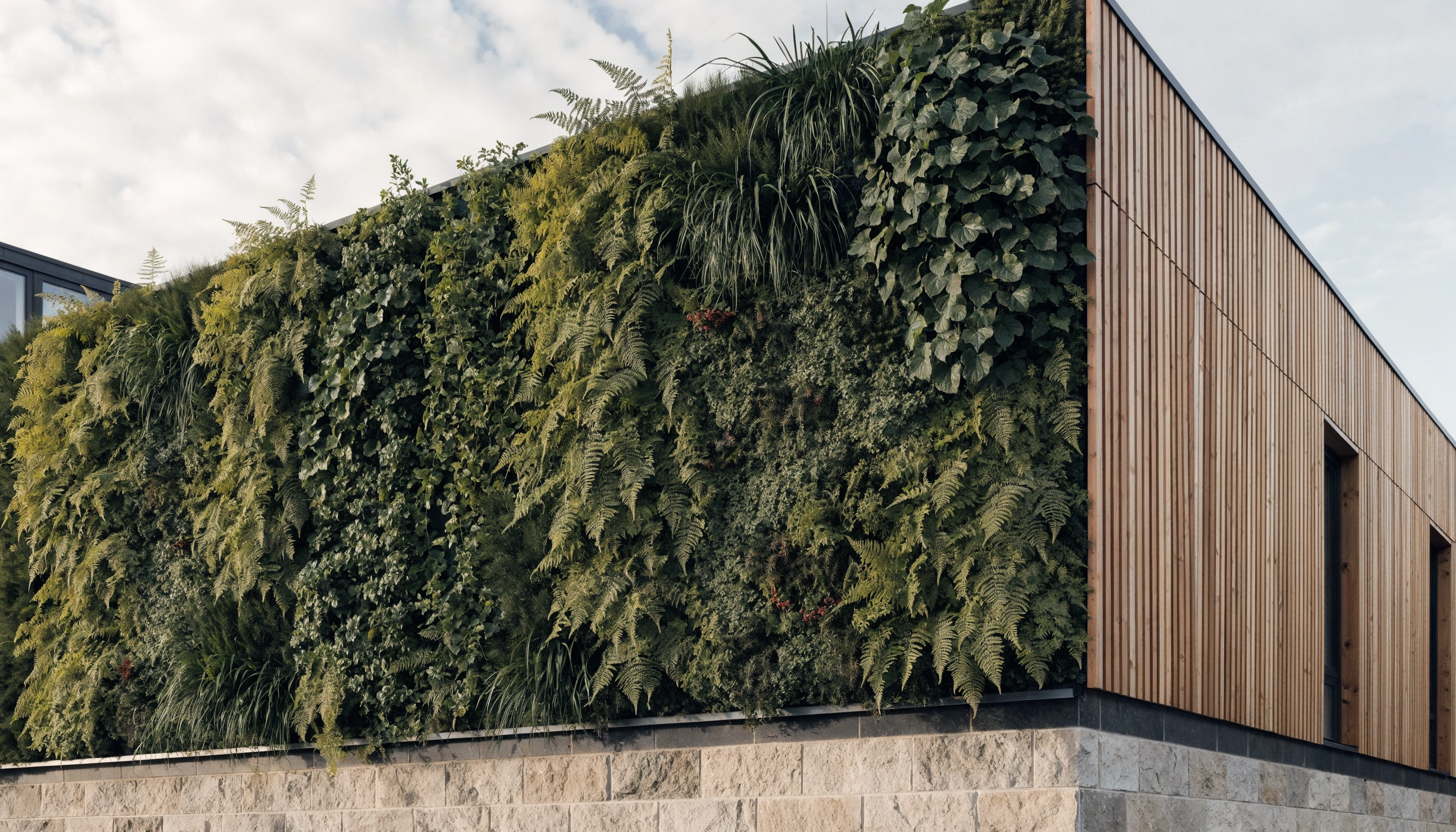 SemperGreenwall lopsakas elav rohesein kaasaegse hoone fassaadil Eestis