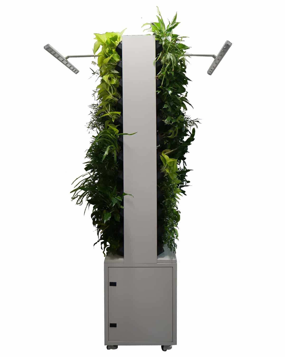 Maxgreenwall Double kahepoolne taimesein ruumieraldajana