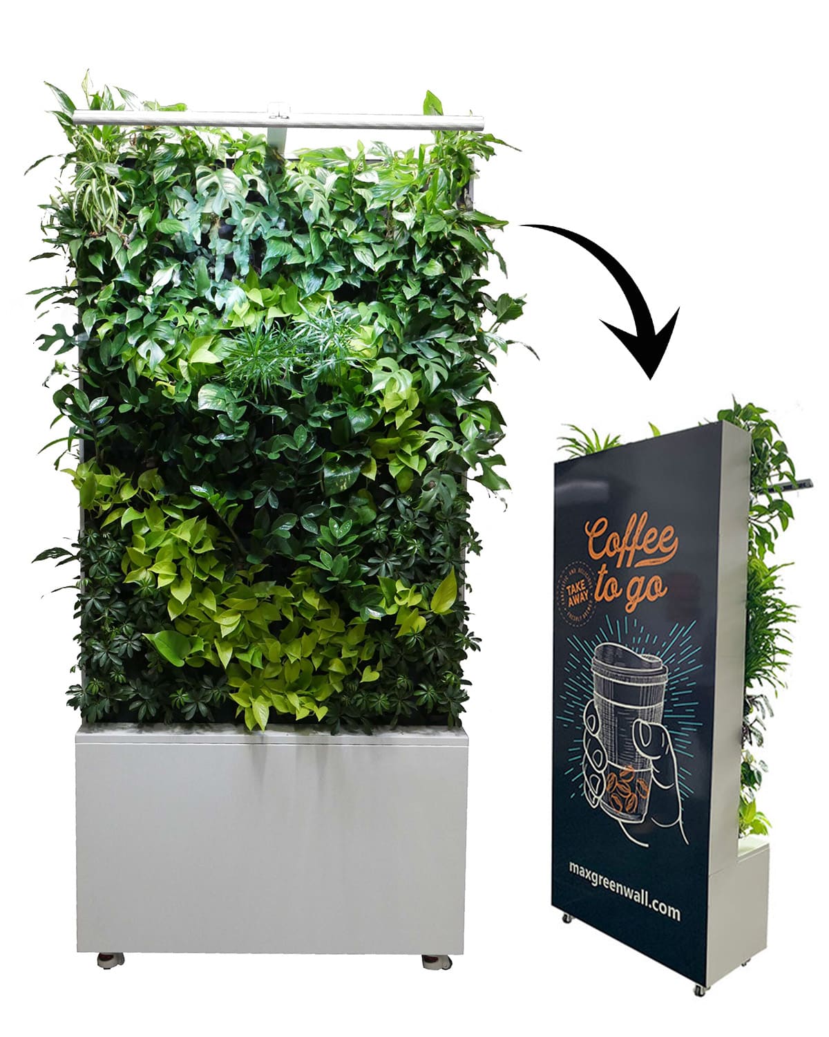 Maxgreenwall Single ühepoolne mobiilne taimesein büroos